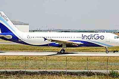 indigo 1